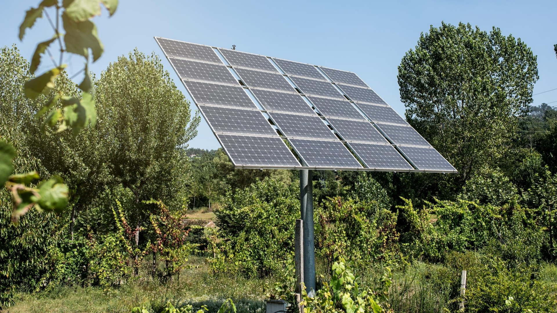 Solar energy solutions by Bhumi Ka Solar